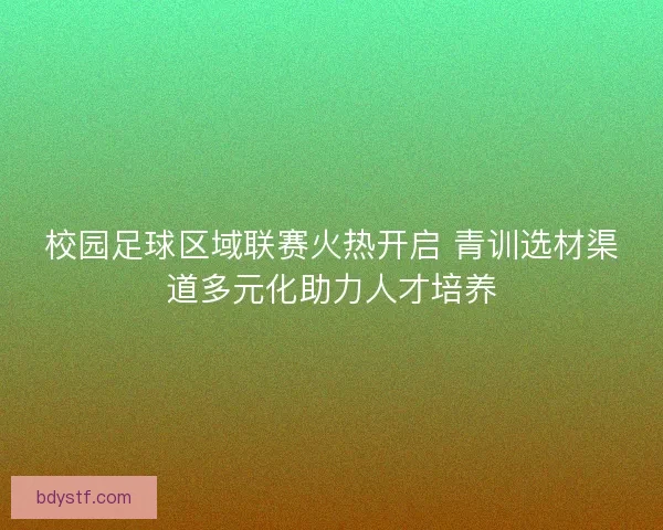 校园足球区域联赛火热开启 青训选材渠道多元化助力人才培养 校园足球区域联赛火热开启 青训选材渠道多元化助力人才培养
